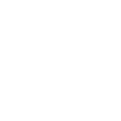 Ztrans_fehér